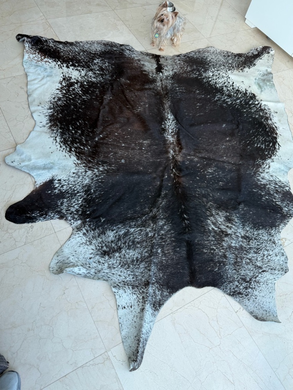 Black & White Cowhide Accent Rug - Premium Home Accent